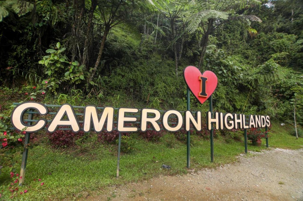 Cameron Kea Farm Hotel Бринчанг Екстер'єр фото