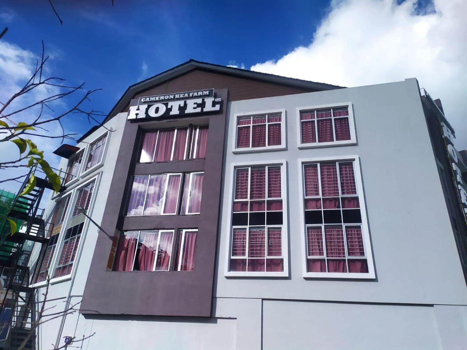 Cameron Kea Farm Hotel Бринчанг Екстер'єр фото
